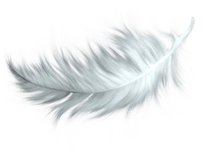 Decorative feather